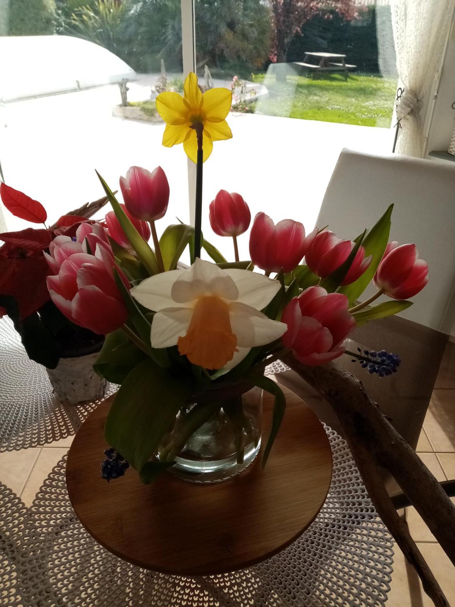Bed & Breakfast L'eden Naturiste